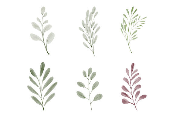 Download Watercolor Leaf Greenery Element Set - Element set Collection